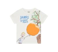 Roald Dahl T-Shirt | James and The Giant Peach Boys Tshirt | Boys' T-Shirts | Ages 4 to 10 Years