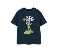 Roald Dahl Unisex Kids Blue BFG Short Sleeved T-Shirt - 3-4 Years