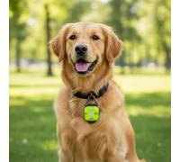 RoaQinFo Light Pendant LED Tag Dog Beacon Marker casing with Soft Frosted Lens and Three Effects USB for Weekly use Suitable for Pets Collars Dusk commutes Neighborhood Routes, Yellow