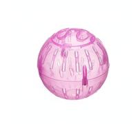 RoaQinFo Small Exercise Ball Designed as Hamster Exercise Sphere Lightweight Cage Toy with PP Daily Activity Gear for Pets Suitable for Indoor Play Exercise Routine 12cm, Pink