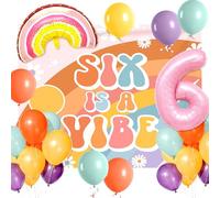 Roaring Good Time Six Is A Vibe Birthday Party Decorations Balloon Rainbow Daisy Balloons Vintage Groovy 6th Birthday Decorations Hippie Retro 6 Years Old Birthday Decoration
