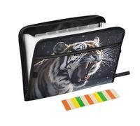 Roaring Tiger Expanding File Folder A4,13 Pockets File Organiser, Paperwork A4 Plastic Wallet Document Storage Expander for School,Office and Home