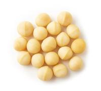 Roasted Salted Macadamia Nuts - Premium Whole Macadamias Roasted in Small Batches with Sea Salt | Creamy & Crunchy Snack | Vegetarian Friendly | Multi-Pack 250g