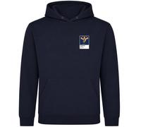 Rob Van Dam Wrestling Icon Frame Men's Hoodie - Navy / S