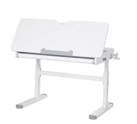 roba Children's Desk Smart Grow Fully Tiltable 110x60 cm