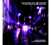 Robb Johnson & The Irregulars - The Mystery Gets Your Number & The Poetry Make [VINYL]