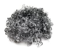 Robelli Kids/Adults Granny Fancy Dress Grey Curly Wig (WORLD BOOK WEEK/DAY)