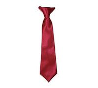 Robelli Kids Satin Clip On Ties - Burgundy