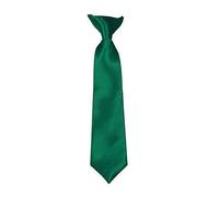 Robelli Kids Satin Clip On Ties - Emerald Green