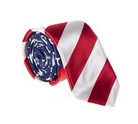 Robelli Novelty USA America Flag Stars & Stripes Slim Satin Tie