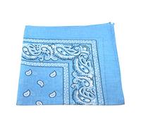 Robelli Paisley Pattern 100% Cotton Bandana for Pet Dogs (Baby Blue)