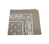 Robelli Paisley Pattern 100% Cotton Bandana for Pet Dogs (Light Brown)