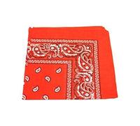 Robelli Paisley Pattern 100% Cotton Bandana for Pet Dogs (Orange)