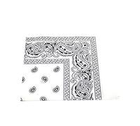 Robelli Paisley Pattern 100% Cotton Bandana for Pet Dogs (White)