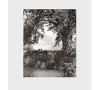 Robert Adams: Cottonwoods: Cottonwoods: Photographs, and a Conversation About Picture-making in the American West