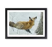 Robert Bateman Fox Framed Print | A2 Black Framed Wall Art | Ready to Hang | Modern Animal Picture | Living Room Bedroom Lounge Office