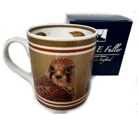 Robert E Fuller Mug - Kestrel, Fine Bone China by Wildlife Artist British Wildlife(9.5 x 8 cm) Bird of Prey Mug, Dishwasher and Microwave Safe