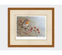 Robert E Fuller Robin in Hawthorn Limited Edition Print Mounted and Framed | Signed & Numbered by Wildlife Artist Ready to hang on your wall | Image size 30x21cm