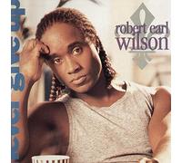 Robert Earl Wilson - Never give up [VINYL]