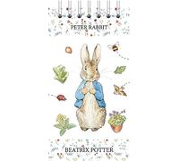 Robert Frederick Beatrix Potter Peter Rabbit Tall Wiro Notes To Do List Pad Notebook