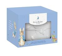 Robert Frederick Peter Rabbit Paint Your Own Plant Pot - Children's Craft Kit