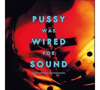 Robert Johnson And Punchdrunks - Pussy Was Wired For Sound [VINYL]