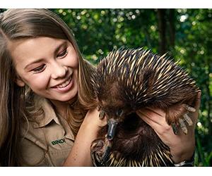 Robert, King Of Cobras