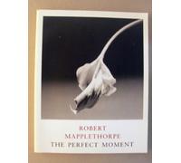Robert Mapplethorpe: The Perfect Moment