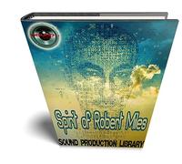 Robert Miles Spirit - Large original Essential WAVe/Kontakt Samples/Loops studio Library