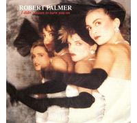 Robert Palmer - I didn't mean to turn you on (1985) / Vinyl single [Vinyl-Single 7'']