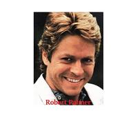 Robert Palmer: The Untold Story