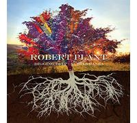 Robert Plant – Digging Deep: Subterranea – CD