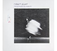Robert Plant - The Principle Of Moments [Vinyl LP]