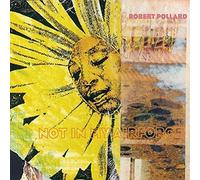 Robert Pollard - Not In My Airforce [VINYL]