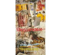 Robert Rauschenberg: Man at Work [VHS] [Import USA]