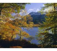 robertharding Autumn Trees at Ullswater Print, Lake District National Park - Print 10"x8" (25x20cm) (1143621)