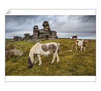 robertharding Wild Dartmoor Ponies Print, Staple Tor, Devon - Print 10"x8" (25x20cm) (20538751)