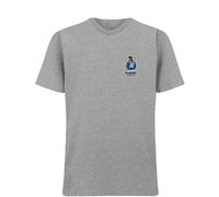 Roberto Baggio Badge Men's T-Shirt - Gray / 3XL