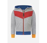Roberto Cavalli Baby Boys Tiger Zip Up Top - Grey - 12 Mths