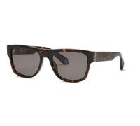 Roberto Cavalli Man SRC139 743 Sunglasses Acetate Havana Brown Squared Normal
