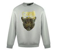 Roberto Cavalli Mens Class Leopard Print Logo Grey Jumper Cotton - Size Large