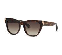 Roberto Cavalli SRC095M 743 Woman Sunglasses Acetate Havana Brown Butterfly Normal Shaded