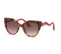 Roberto Cavalli SRC138M 01GQ Woman Sunglasses Acetate Havana Brown Squared Normal Shaded