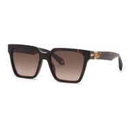Roberto Cavalli SRC153M 743Y Unisex Sunglasses Acetate Havana Brown Squared Normal Nuanced