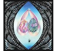 Roberto Laneri - Magister Perotinus Meets The Jedi Masters [Vinyl LP] [VINYL]