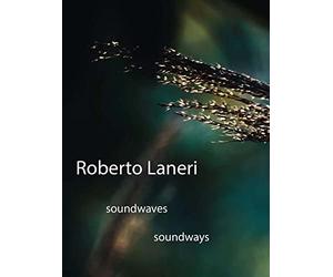 Roberto Laneri: Soundwaves Soundways