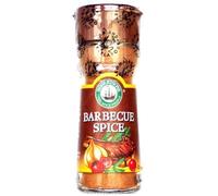 Robertsons Barbeque Spice (2 pack)