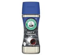 Robertsons Salt and Vinegar Spice 103g