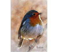 Robin Address Book: Gift Quality | Alphabetical Addresses | Anniversaries & Birthday Reminder | Meanings | Notes & Personal Information | Robin Watercolour Design | Ideal Robin Redbreast Gift