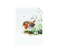 Robin And Daisies Watercolour Unframed Art Print Warren Reed - Designer Multi W20 inch x H30 inch
